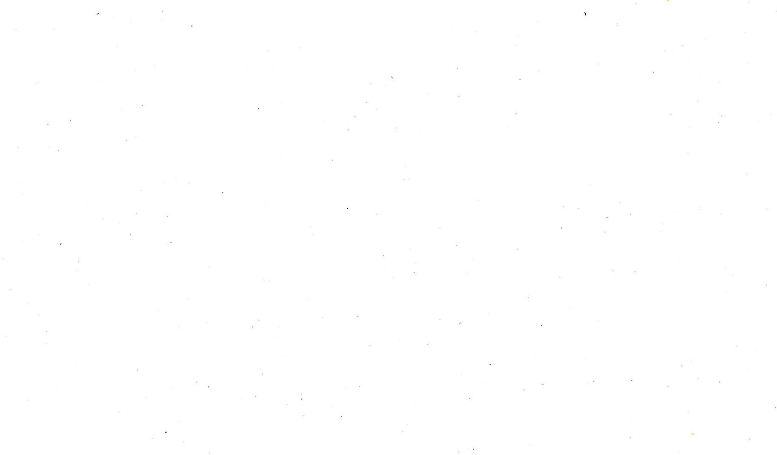 blank-white-7sn5o1woonmklx1h Panelne i žičane ograde Fermax – montaža i izrada u Vojvodini